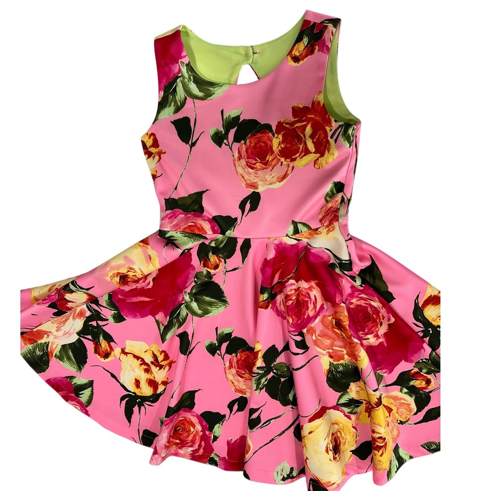 Bonnie‎ Jean Girls Pink Floral Rose Scuba Fit and Flare Dress Size 12